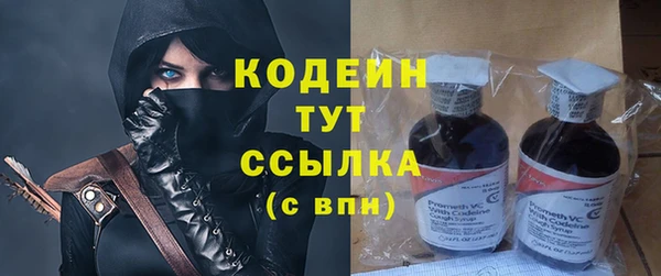 соль ск Абаза
