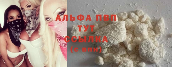 СК Алексин