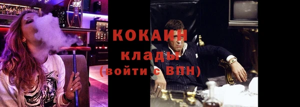 СК Алексин