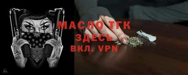СК Алексин