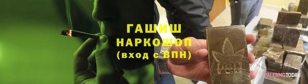гашик Дмитров