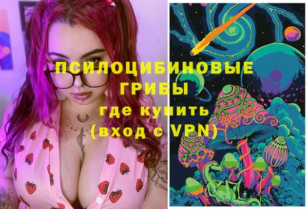 винт Алзамай