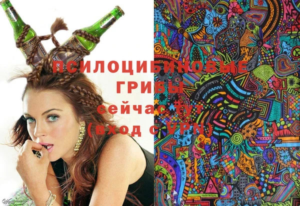 тгк Абдулино