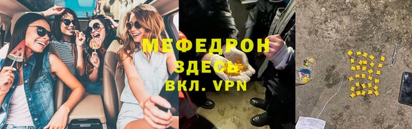 СК Алексин