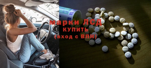 СК Алексин