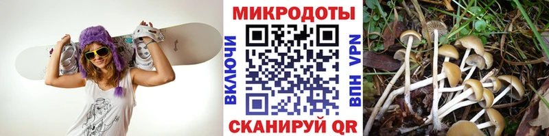 hydra ссылки  Духовщина  Псилоцибиновые грибы GOLDEN TEACHER  цены наркотик 