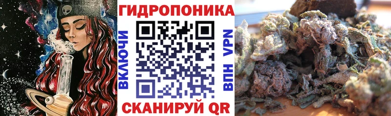МАРИХУАНА план  Духовщина 